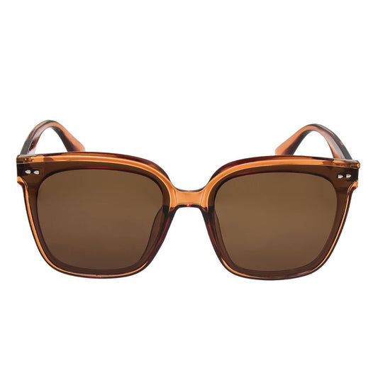 Sleek Beidge Wayfarer Sunglasses with Brown Lens