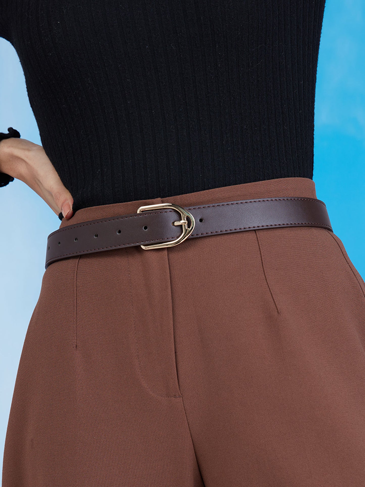 Trendy Brown and Gold Solid Belt